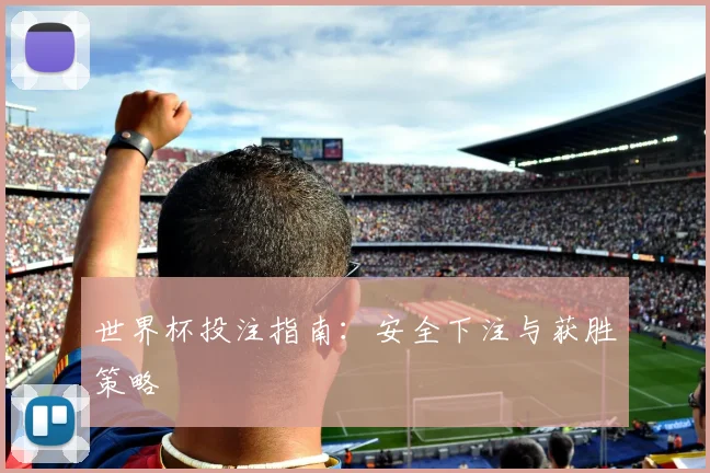 世界杯投注指南:安全下注与获胜策略