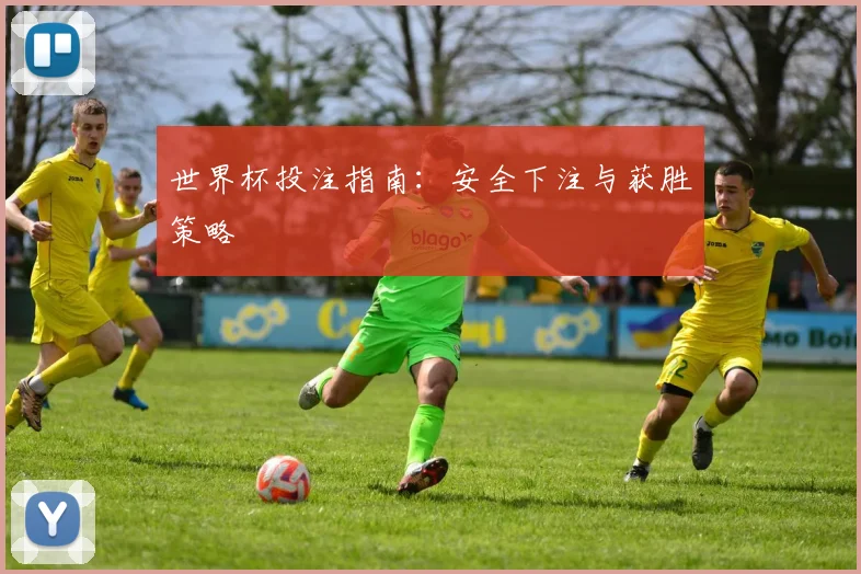 世界杯投注指南:安全下注与获胜策略