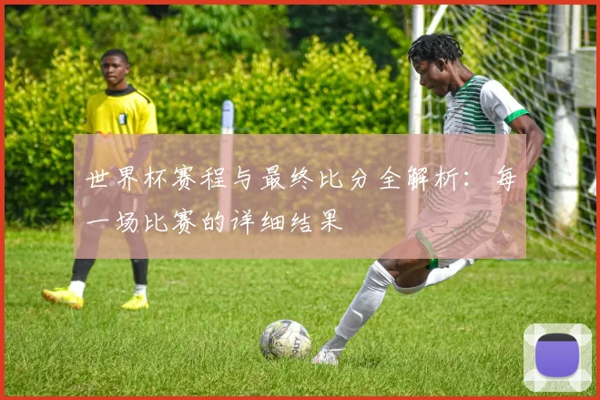 世界杯赛程与最终比分全解析：每一场比赛的详细结果