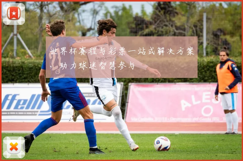 世界杯赛程与彩票一站式解决方案,助力球迷智慧参与